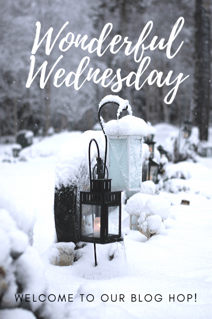 Wonderful Wednesday Blog Hop