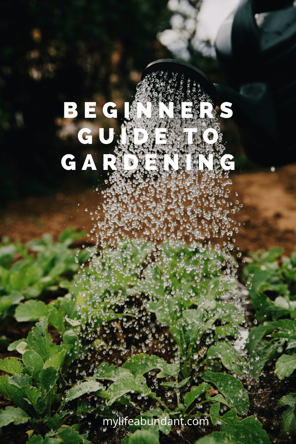 Wanting to start your first garden or needing help with problems you may be having? Here are a few steps I learned along the way to make gardening easy and fun.