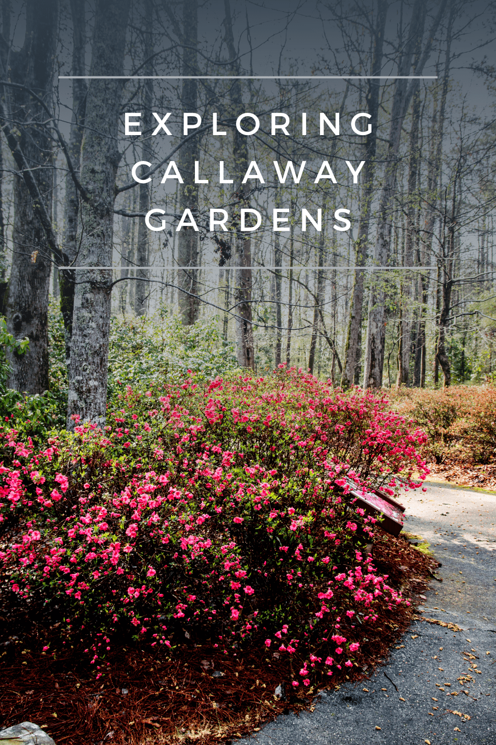 Exploring Callaway Gardens My Life Abundant