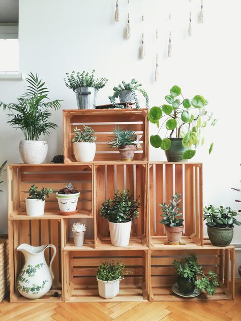 Enjoy thrifty DIY plant stands that will display your favorite plants and look great in your home.