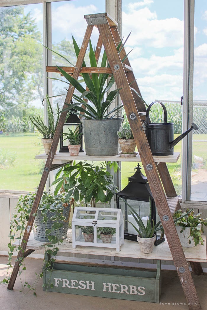 Enjoy thrifty DIY plant stands that will display your favorite plants and look great in your home.