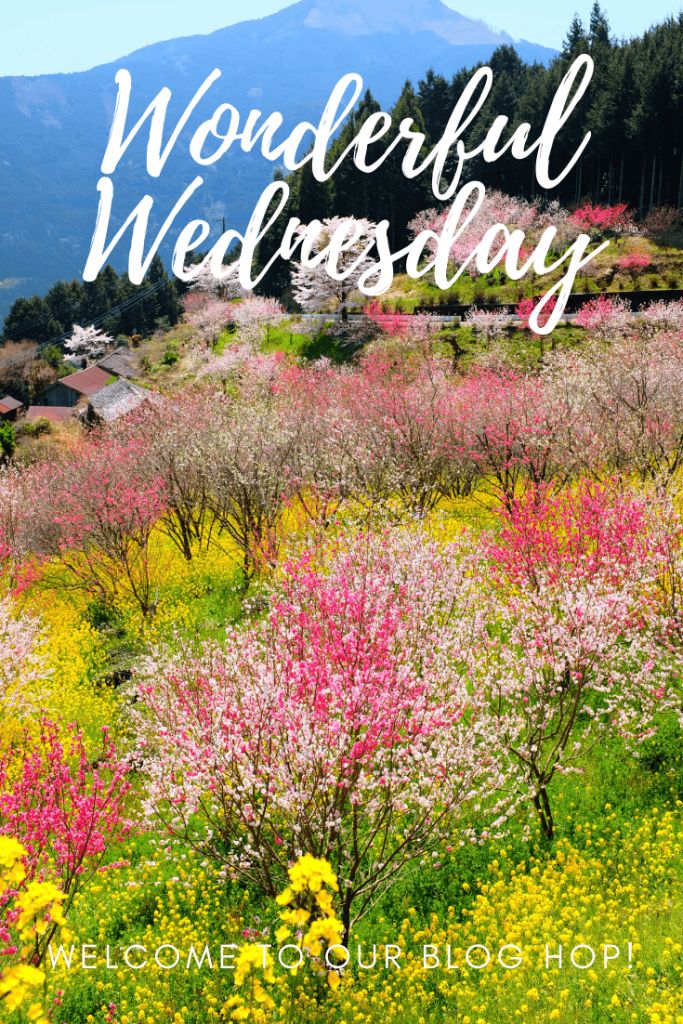 wonderful wednesday images