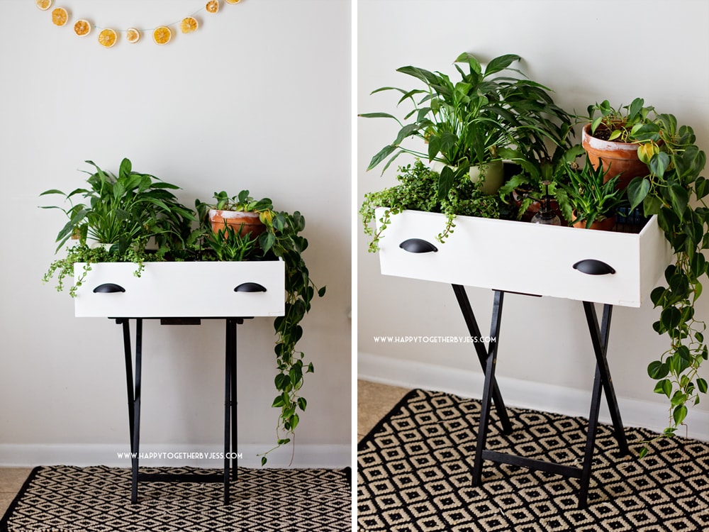 Enjoy thrifty DIY plant stands that will display your favorite plants and look great in your home.
