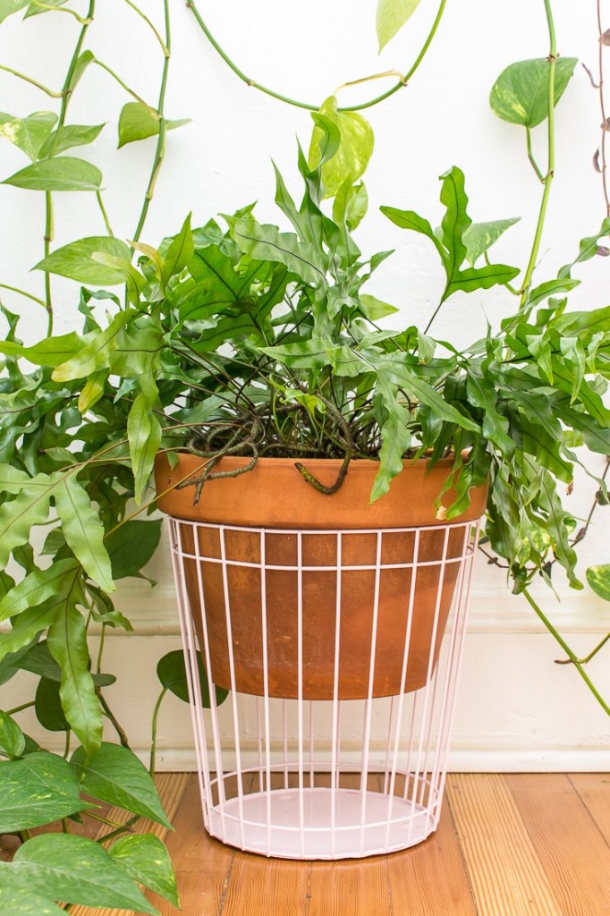 Enjoy thrifty DIY plant stands that will display your favorite plants and look great in your home.