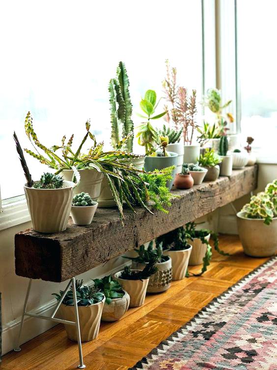 Enjoy thrifty DIY plant stands that will display your favorite plants and look great in your home.