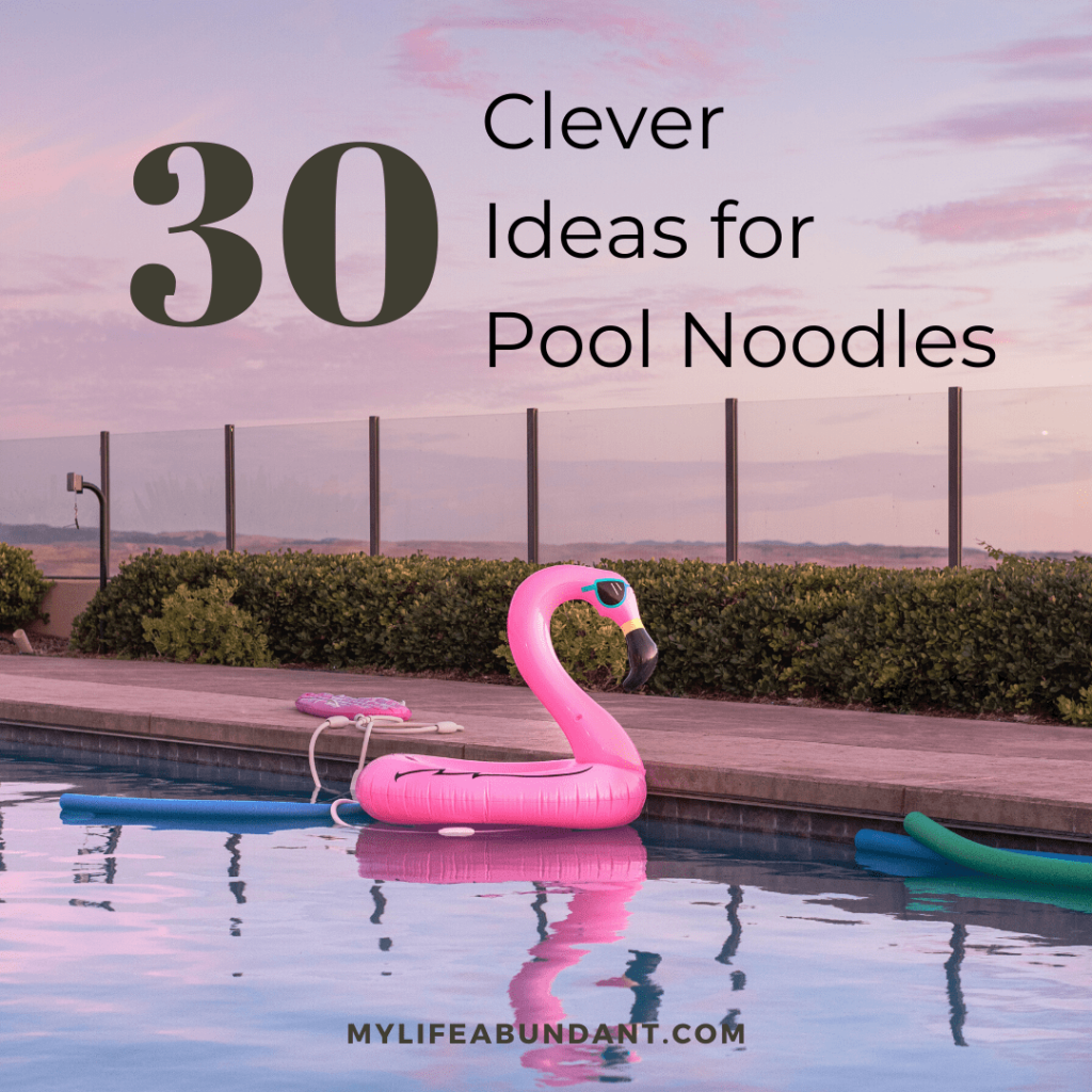 https://mylifeabundant.com/wp-content/uploads/2020/07/Clever-Ideas-for-Pool-Noodles-square-min-1024x1024.png