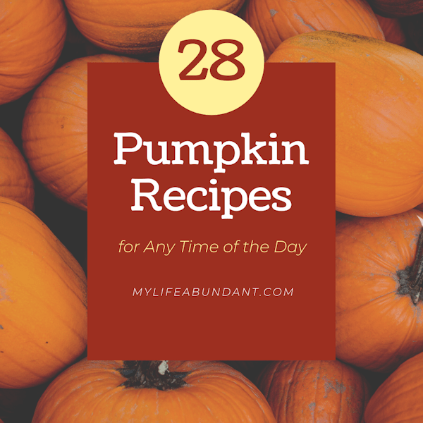 All of the best pumpkin recipes for any time of the day or night. Everything from breakfast, dinner, dessert, drinks, dips, and breads.