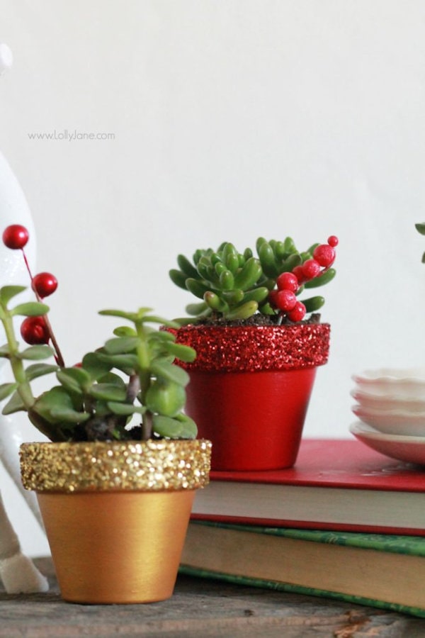 https://mylifeabundant.com/wp-content/uploads/2020/12/glitter-potted-succulents-min.jpg