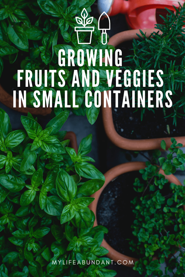 Live in an area where you don't have much room to grow fruits and veggies? Check out how is it is to grow them in pots.