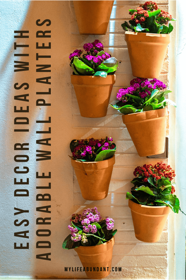 30 DIY Wall Planter Ideas to Show Off Your Green Thumb