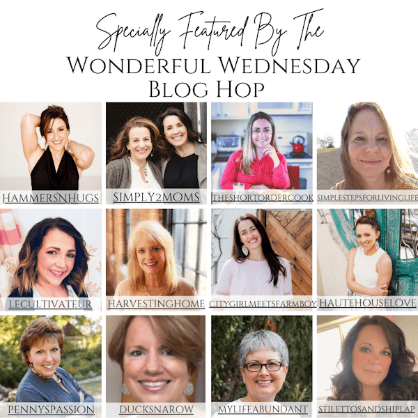 Wonderful Wednesday Blog Hop