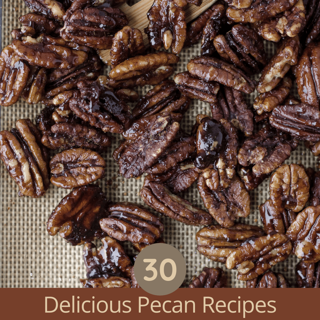 Fall means it’s time to bake something with pecans in them. Falls favorite nut. Perfect recipes for all season long.