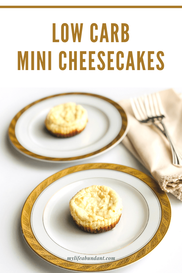 Looking for a sweet bit but stay low carb? Try these easy-to-make low-carb mini cheesecake bites. You will love them!