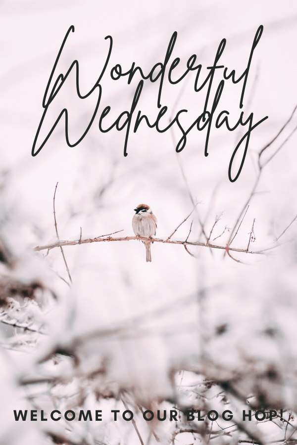 Wonderful Wednesday Blog Hop. Share NOW. #wwbh #wwbloghop #wonderfulwednesdaybloghop #eclecticredbarn