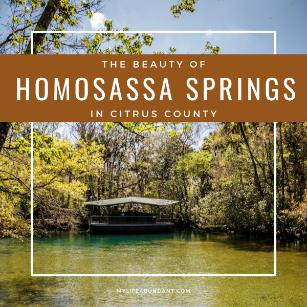 Enjoy and discover the wild beauty of Homosassa Springs with endangered animals and manatees.