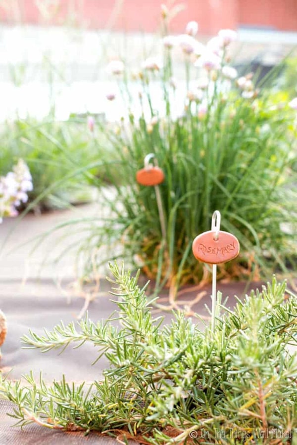 DIY Plant Markers for your Herb Garden