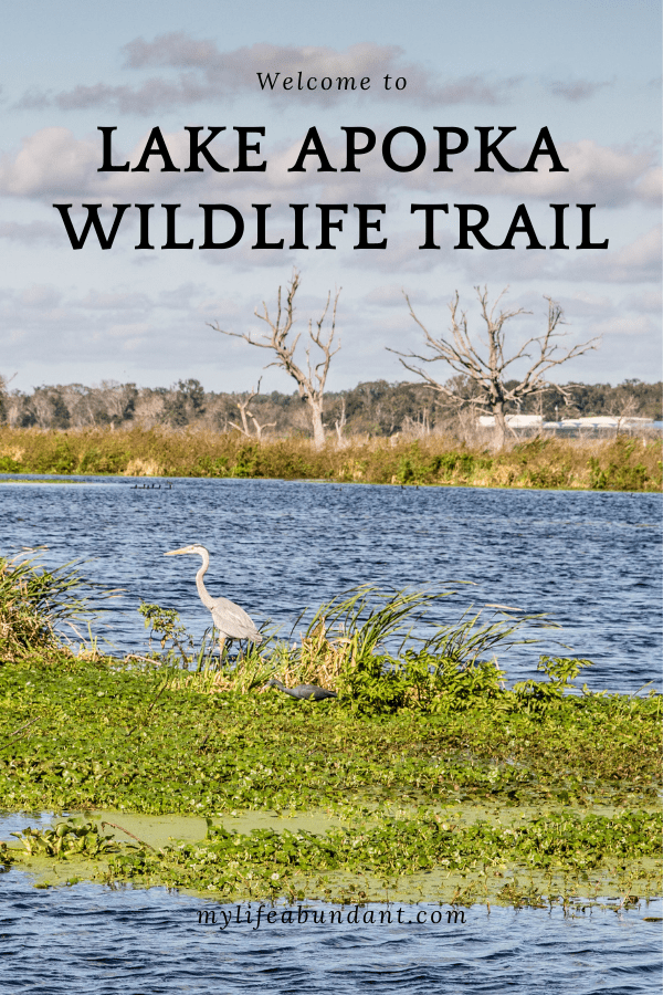 Lake Apopka Wildlife Trail - My Life Abundant