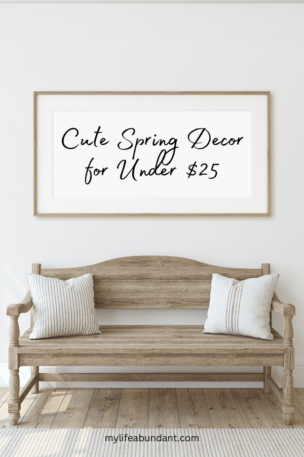 Looking for budget spring decor for your home? Here are some really cute items I’ve found to decorate your home for under $25