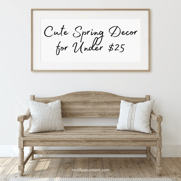 Looking for budget spring decor for your home? Here are some really cute items I’ve found to decorate your home for under $25