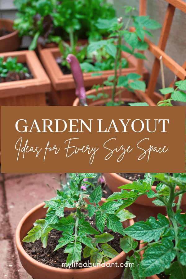 Plant Layout and Spacing in Raised Beds