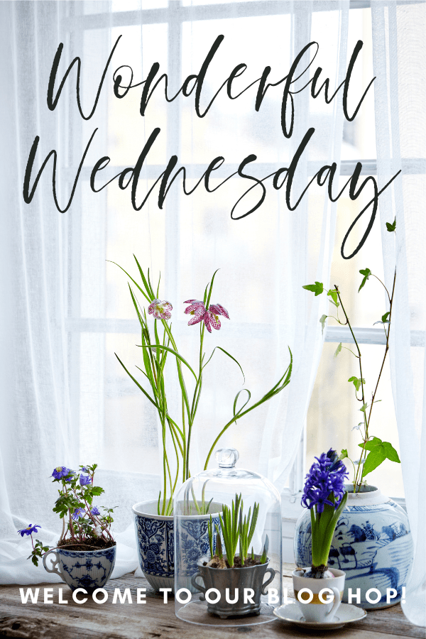 Welcome to the Wonderful Wednesday Blog Hop where we enjoy linking up posts about recipes, crafts, DIY, everyday life and more. The party starts every Tuesday at 7:00 pm EST. Come and join!!