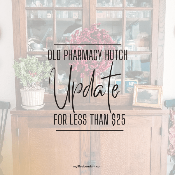 Need inspiration for a quick DIY project of a vintage cabinet? Here is one for less than $25.