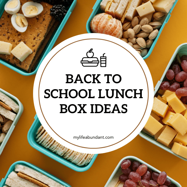 Lunch Box Ideas Back to School, Food