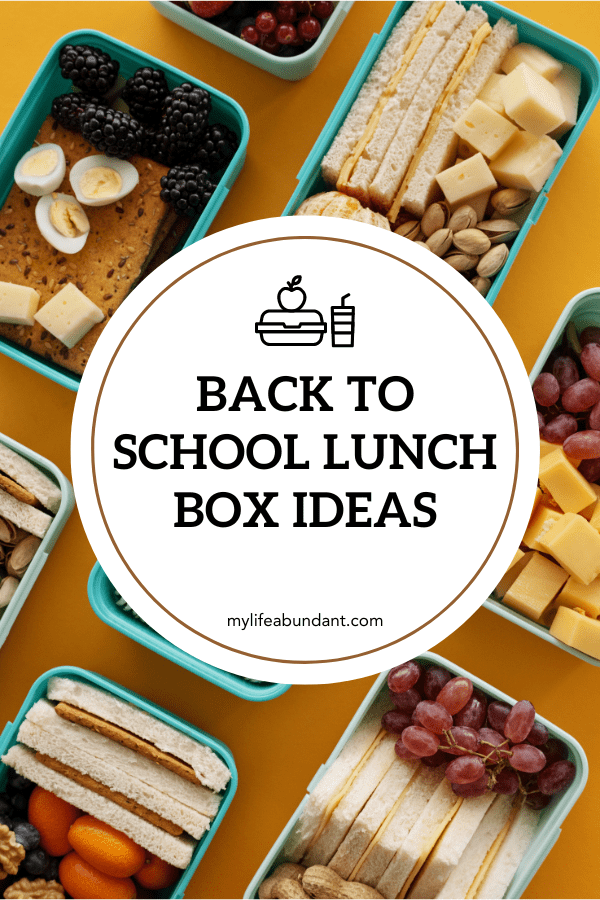 https://mylifeabundant.com/wp-content/uploads/2023/08/Back-to-School-Lunch-Box-Ideas-min.png