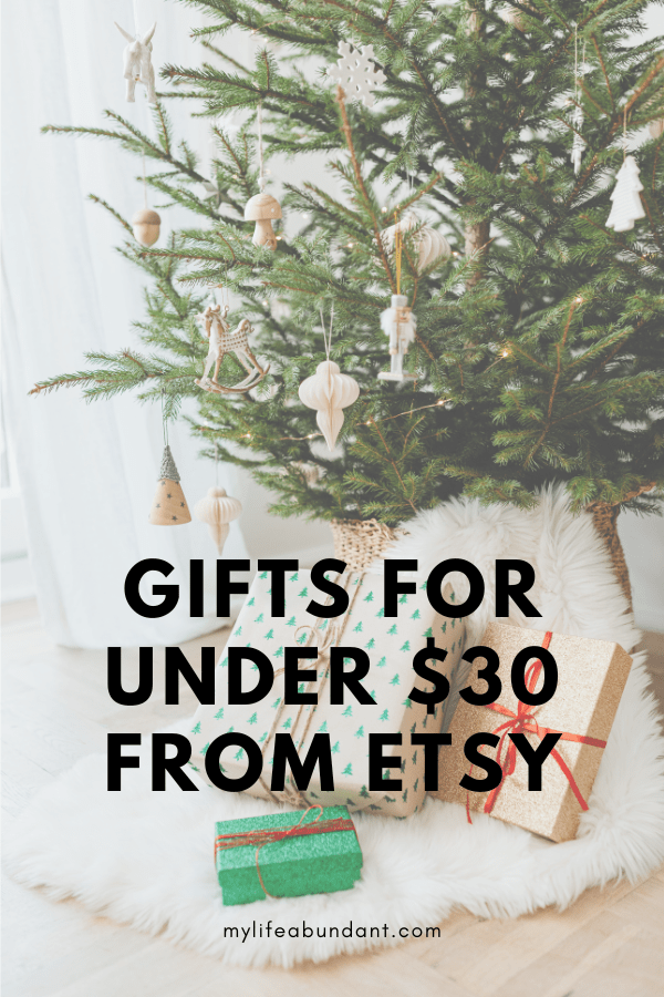 Christmas Gift Ideas under $30