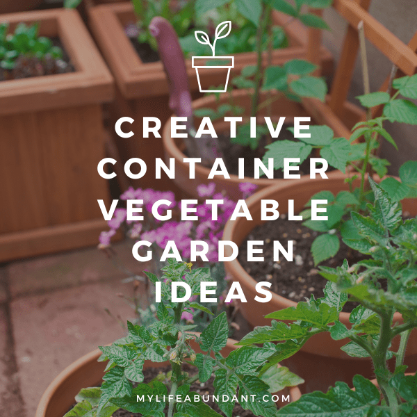 Creative container vegetable garden ideas with beautiful planters, vertical gardening, DIY pots, grow bags, and window boxes!