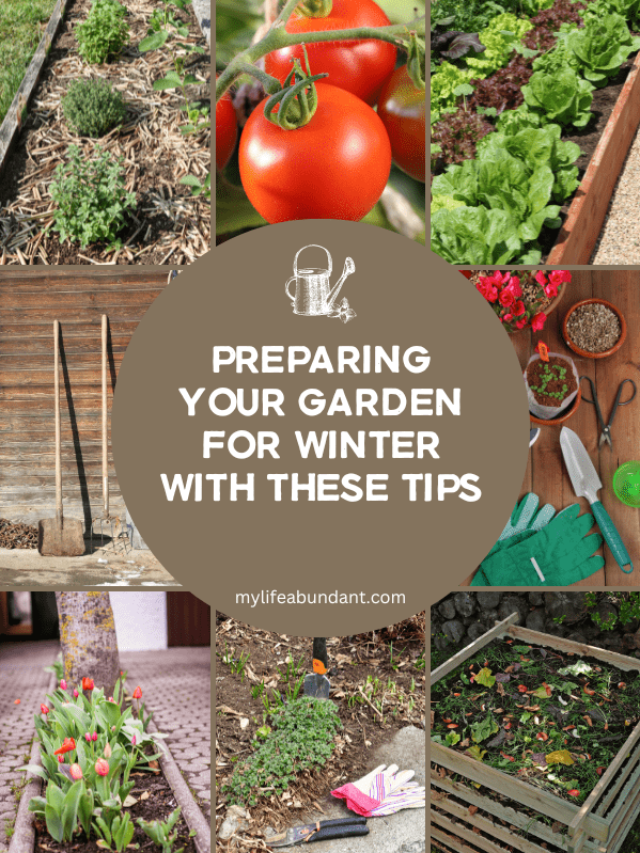 Preparing Your Garden for Winter