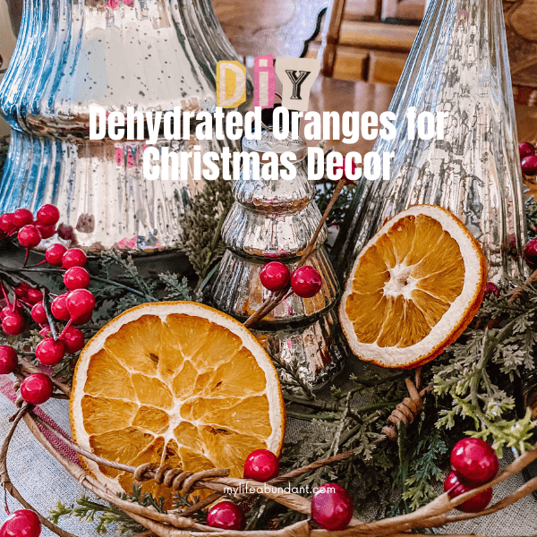 Dry Orange Slices will get you started on making beautiful natural decor to add to your packages, make a garland, create Christmas ornaments, or simply as seasonal accents for your home or the holiday season.