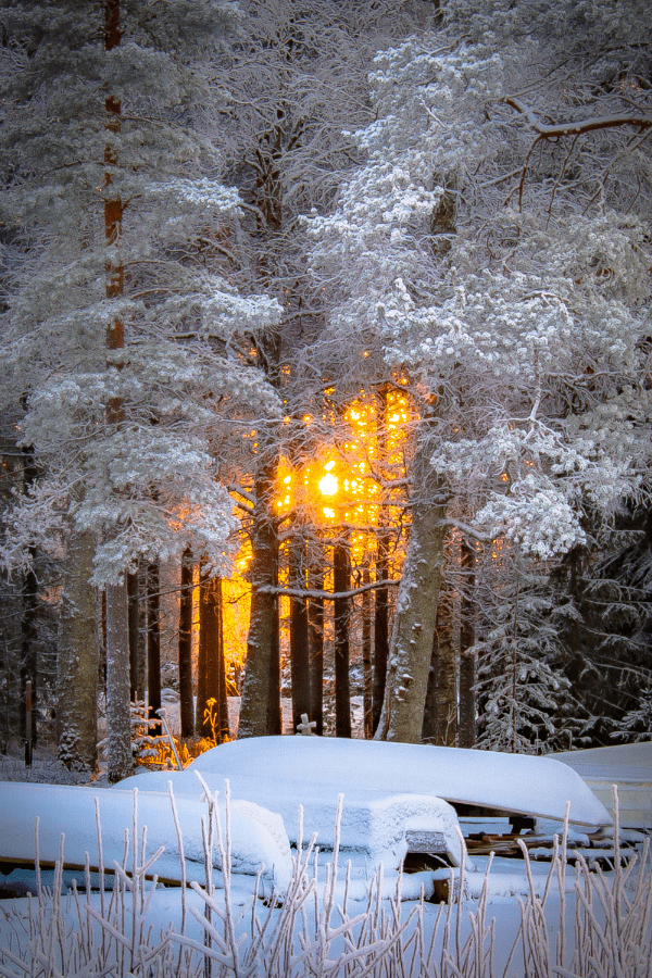 WWBH winter