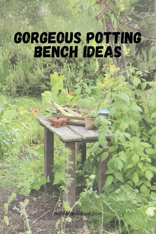 Whether you are a die-hard gardener or you love the look of a garden bench, here are a few ideas to try.