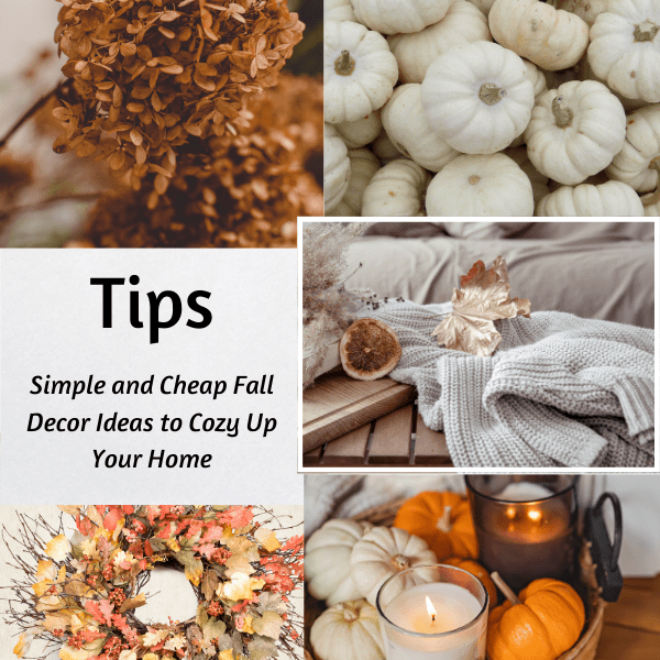 Fall is the perfect time to bring warmth, texture, and cozy vibes into your home, and that doesn’t mean you need to spend a fortune doing it.