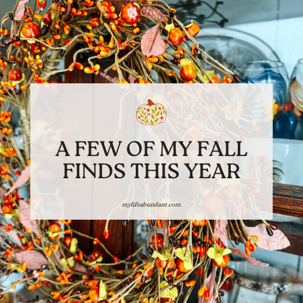 Mixing vintage with new fall items is my jam, and I hope my ideas will help inspire you, too.