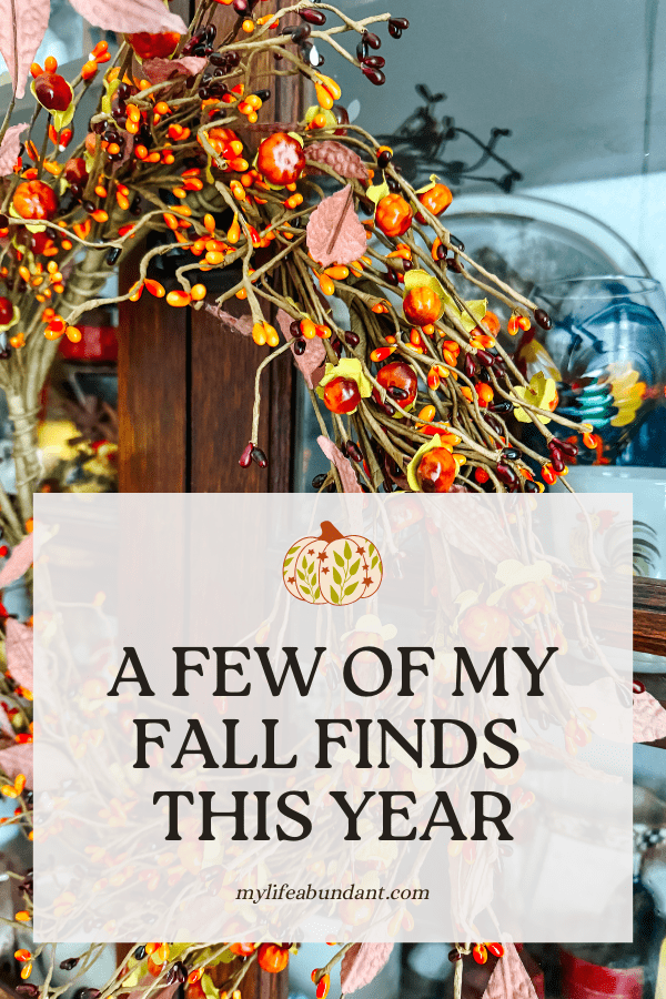 Mixing vintage with new fall items is my jam, and I hope my ideas will help inspire you, too.
