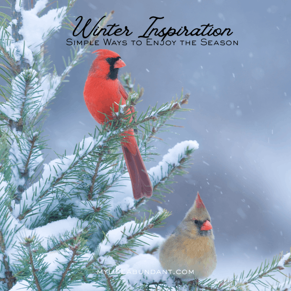 Winter Inspiration: Simple Ways to Enjoy the Season