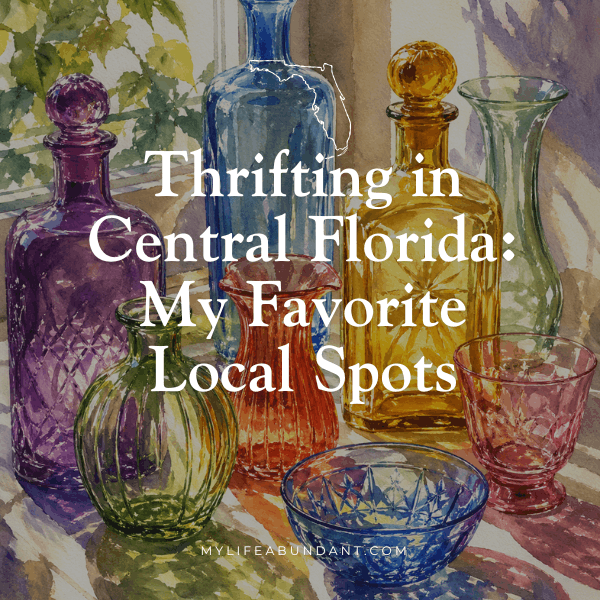 If you love a good treasure hunt in Florida, you are in the right place! Here's my personal guide to the best thrift stores and flea markets near me.