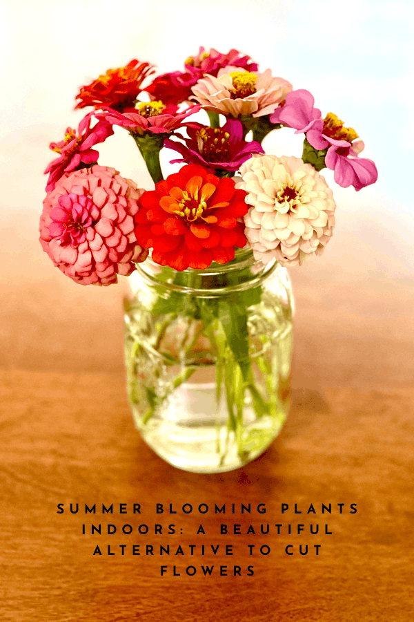 Summer Blooming Plants Indoors: A Beautiful Alternative To Cut Flowers