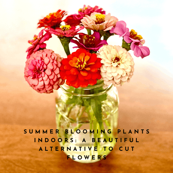 Summer Blooming Plants Indoors: A Beautiful Alternative To Cut Flowers