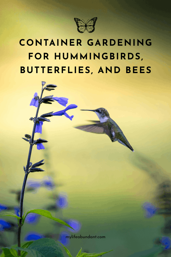 Learn which annuals and perennials to grow in containers to attract hummingbirds, butterflies, and bees to your porch or patio, with a free printable plant guide included!