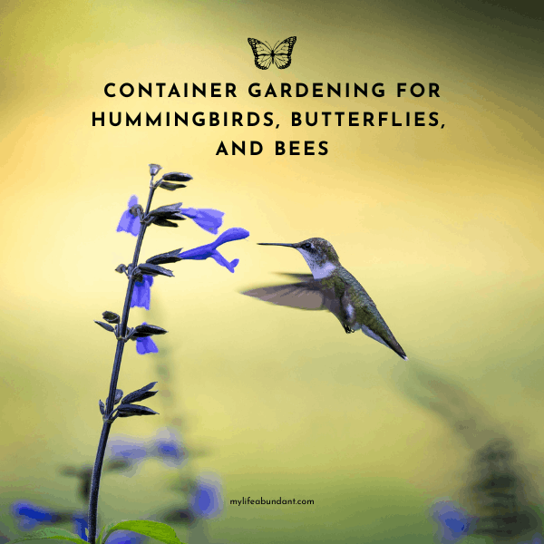 Learn which annuals and perennials to grow in containers to attract hummingbirds, butterflies, and bees to your porch or patio, with a free printable plant guide included!